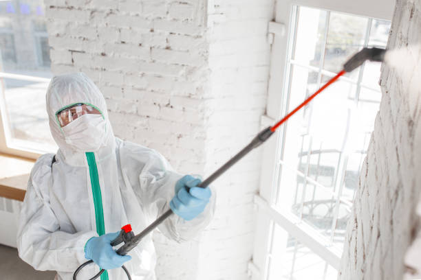  Statesville, NC Mold Removal Pros