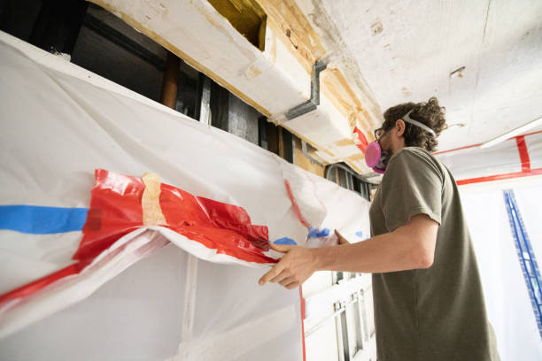 Best Basement Mold Removal  in Statesville, NC