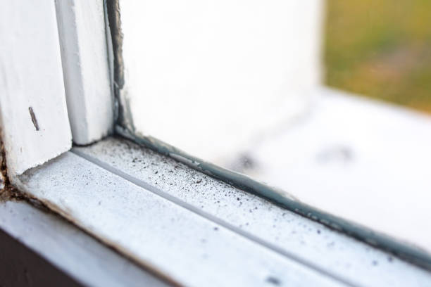 Best Dehumidification Services  in Statesville, NC