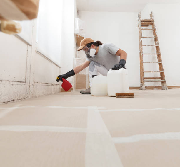 Best Post-Construction Mold Inspection  in Statesville, NC