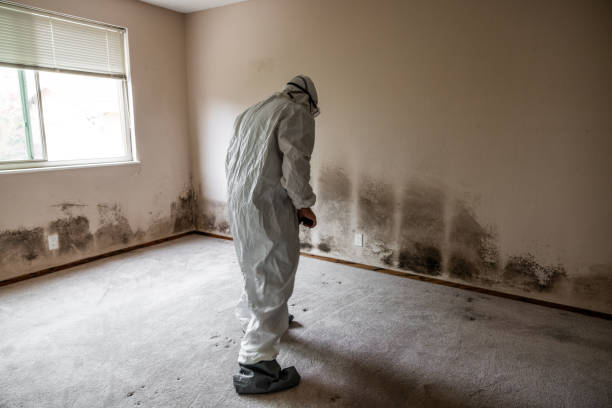 Best Forensic Mold Investigation  in Statesville, NC